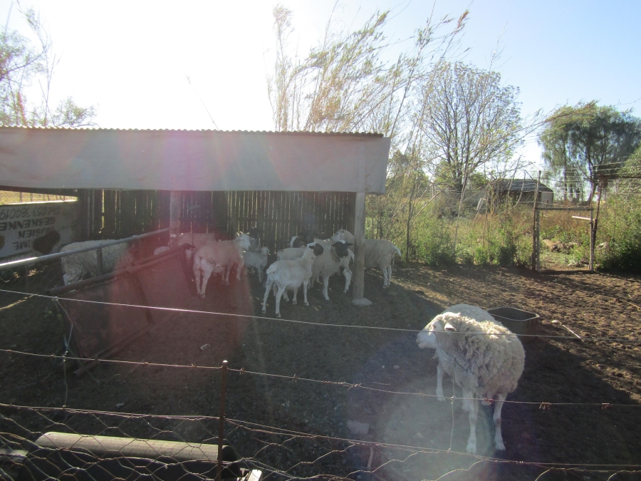 4 Bedroom Property for Sale in Bainsvlei Free State